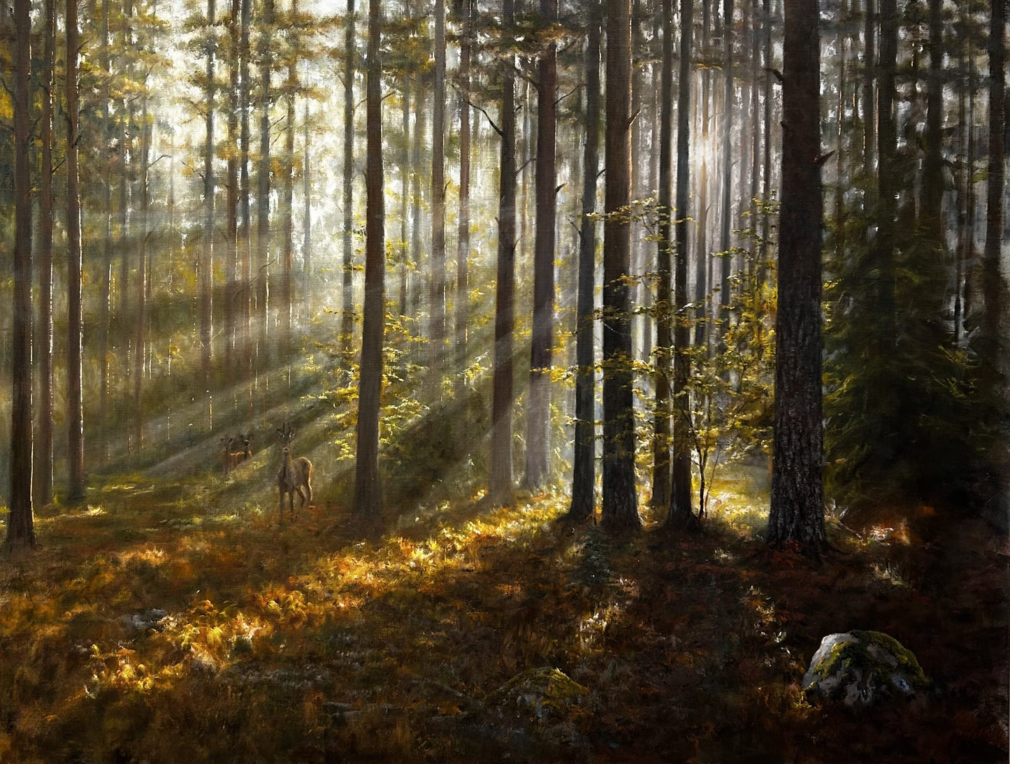 Autumn in the forest